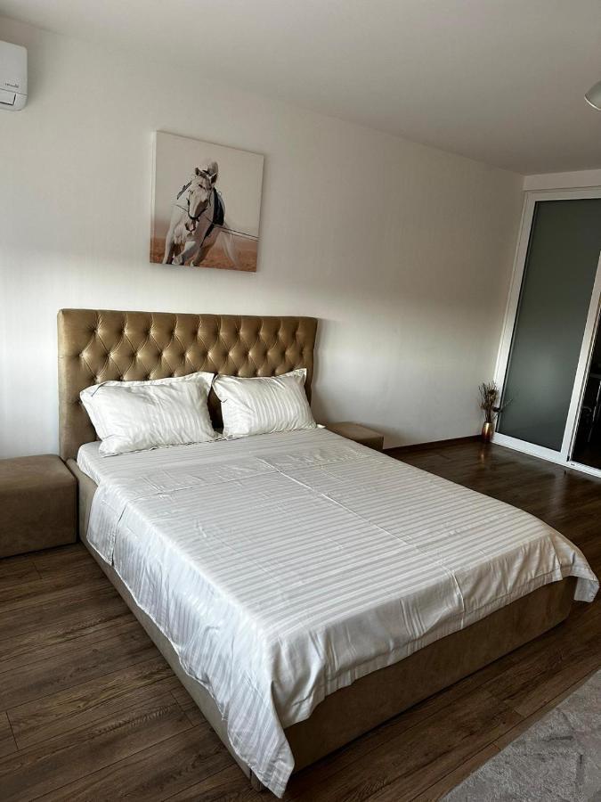 Anastasia Apartament Διαμέρισμα Oradea Εξωτερικό φωτογραφία
